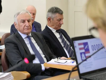 Opis slike