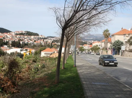 Opis slike
