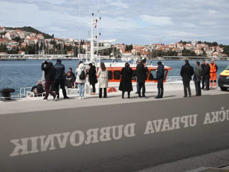 Opis slike