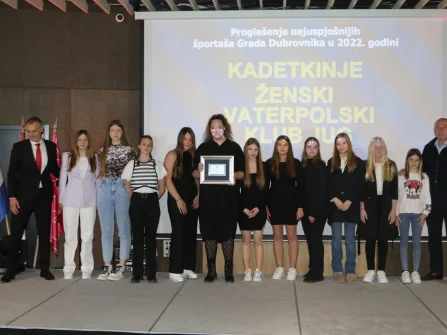 Opis slike