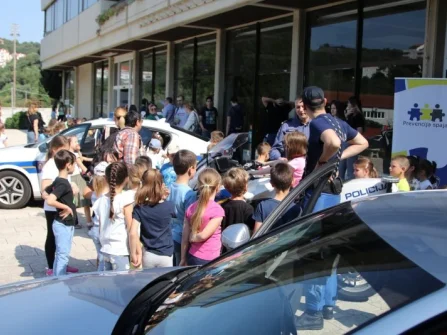 Opis slike