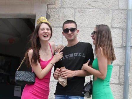 Opis slike