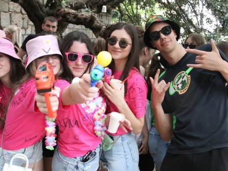 Opis slike