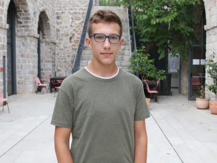 Opis slike