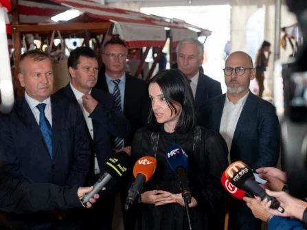 Opis slike