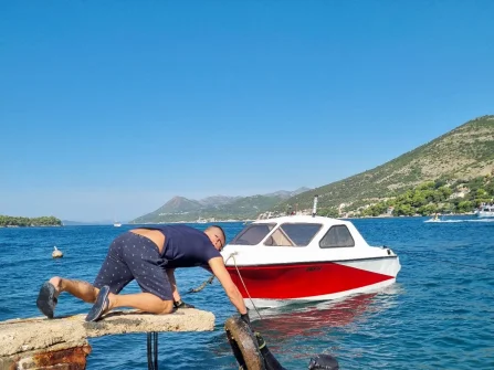 Opis slike
