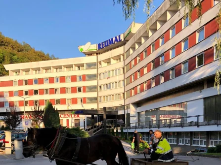 Opis slike
