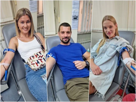 Opis slike