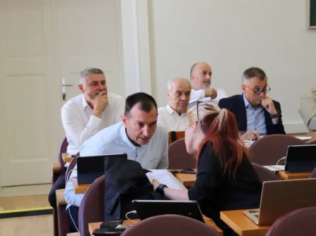 Opis slike