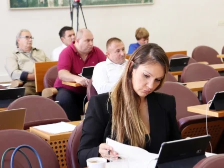 Opis slike