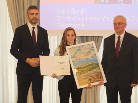 Opis slike