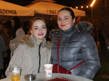 Opis slike