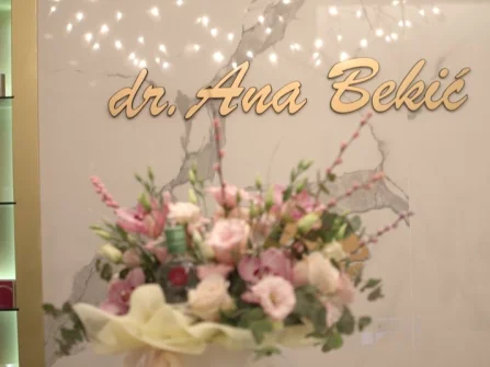 Opis slike