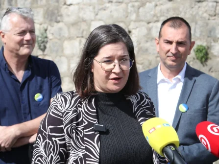 Opis slike
