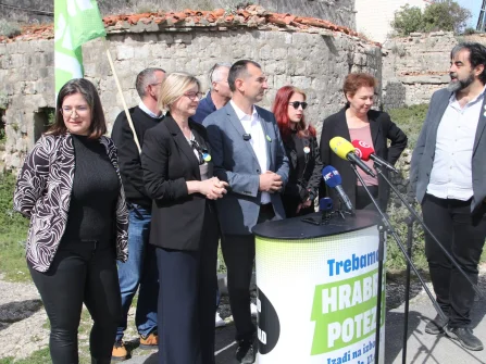 Opis slike