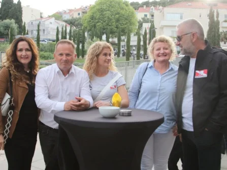 Opis slike