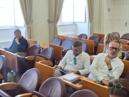 Opis slike