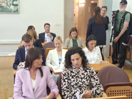 Opis slike