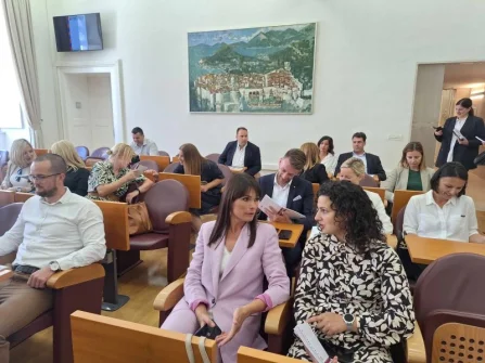 Opis slike