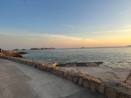 Opis slike