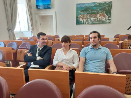 Opis slike