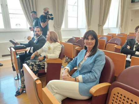 Opis slike