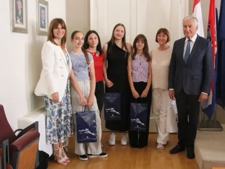 Opis slike