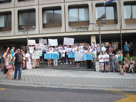 Opis slike
