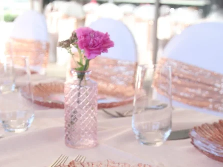 Opis slike