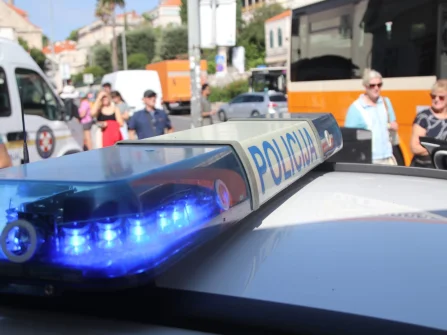 Opis slike
