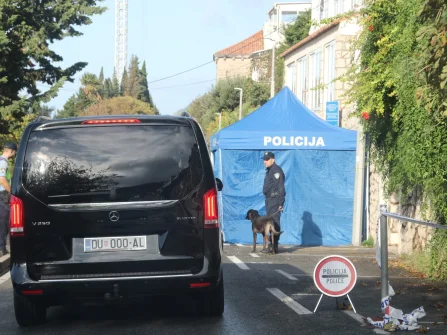 Opis slike