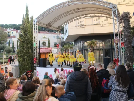 Opis slike