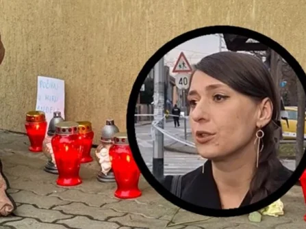 Opis slike
