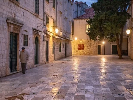 Opis slike