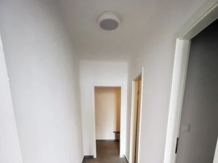 Opis slike