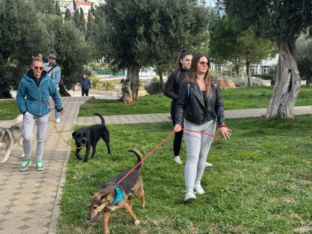 Opis slike