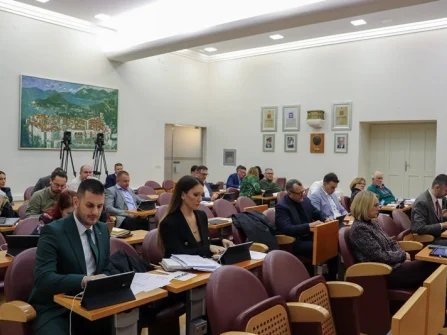 Opis slike