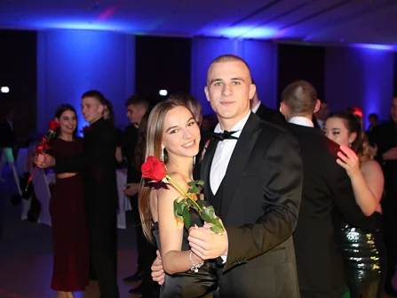 Opis slike