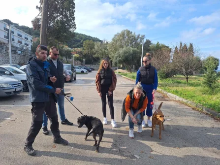 Opis slike