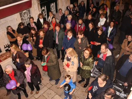 Opis slike