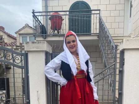 Opis slike