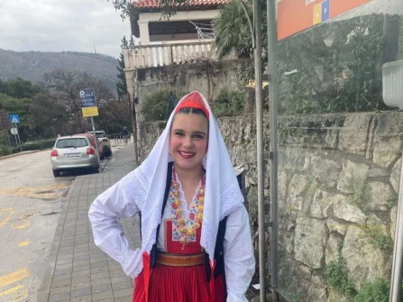 Opis slike