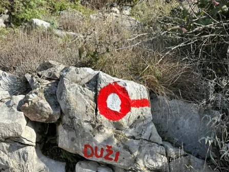Opis slike