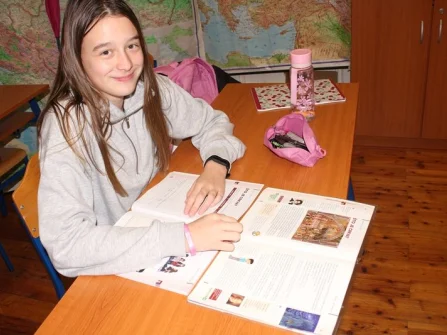 Opis slike