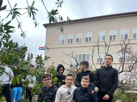 Opis slike