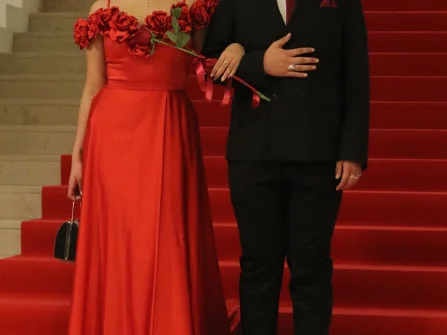 Opis slike