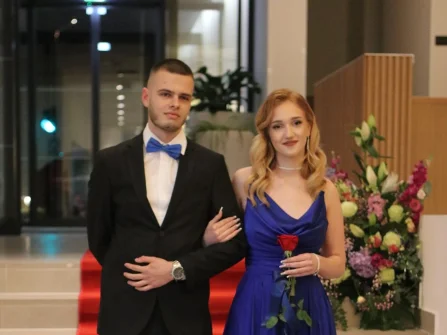 Opis slike