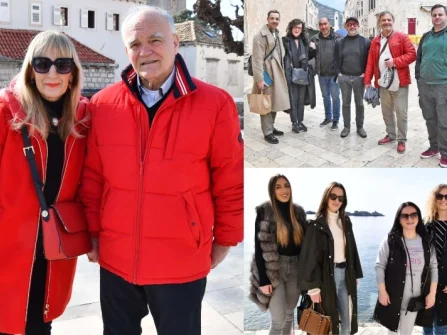 Opis slike