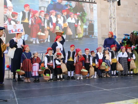Opis slike