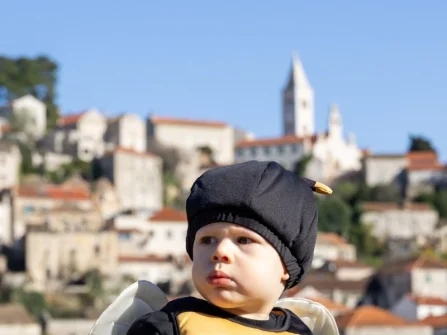 Opis slike